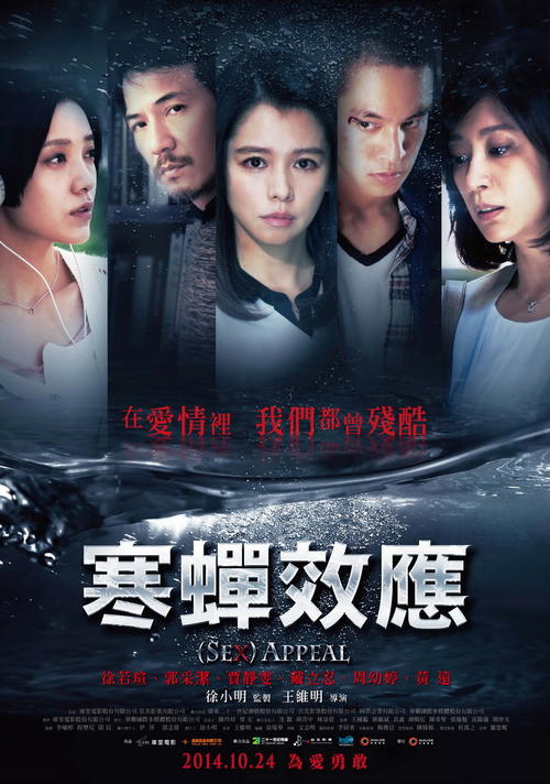 大使馆查存款证明